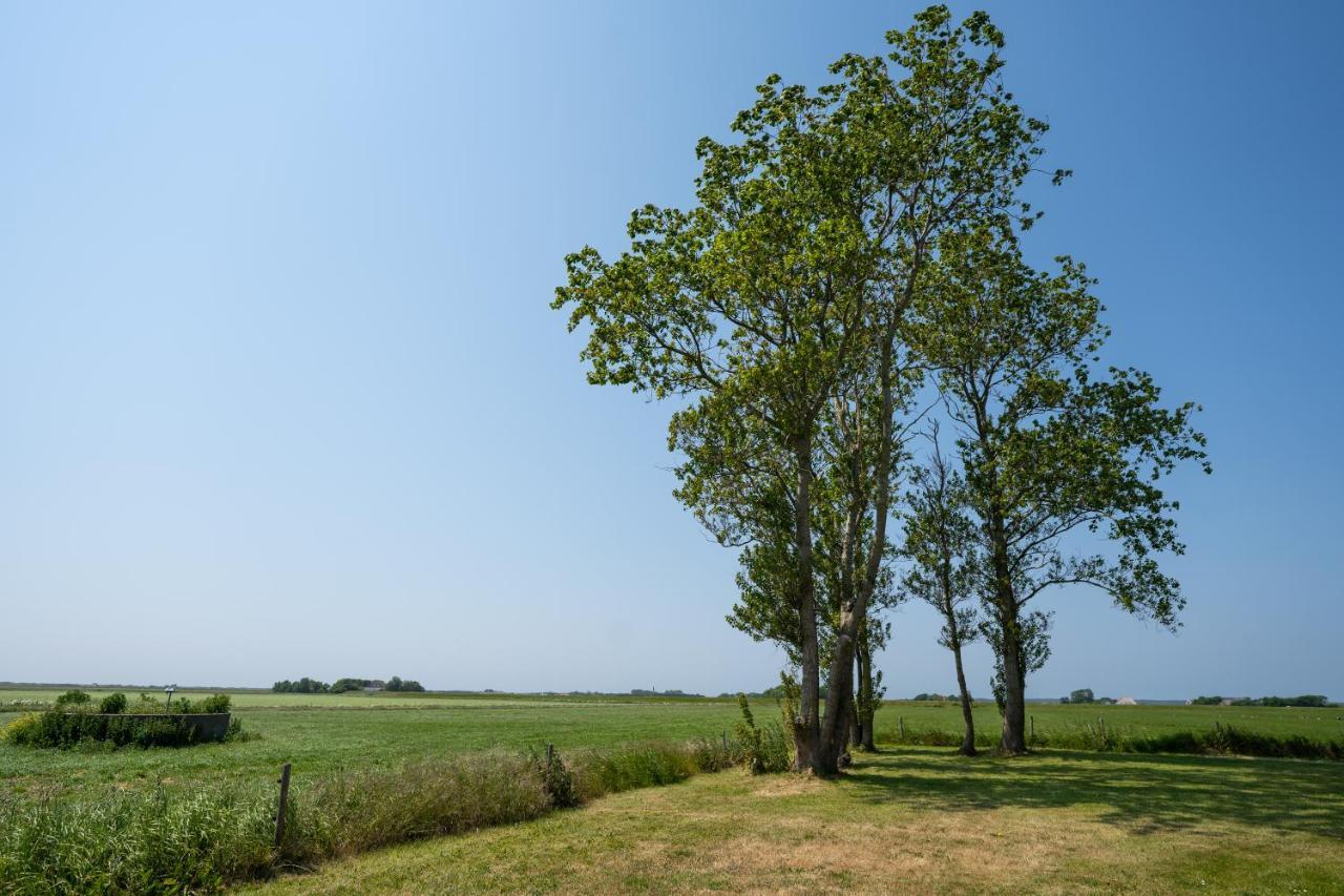 Johanneshoeve - De Mooiste Plek Op Texel Ден-Гоорн Екстер'єр фото